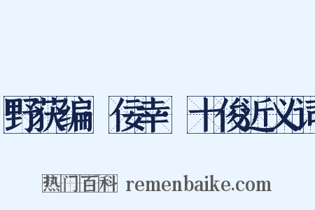 野获编·佞幸·十俊近义词是什么意思的图片